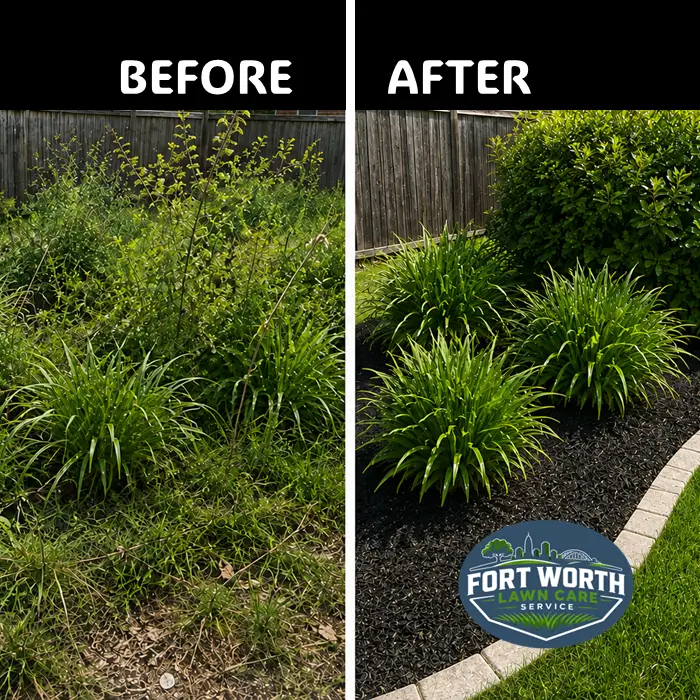 Fort Worth Tx Landscaping Update showing a bed before and after cleanup and mulching